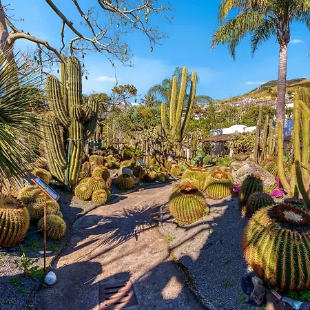 Apart-hotel Ravino Secret Retreat Forio di Ischia